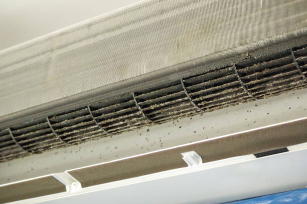 Best Air Duct Cleaning Near Me  in Addison, WV